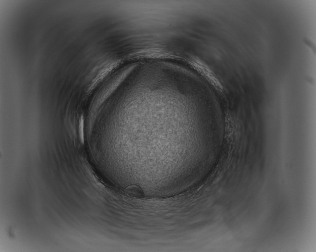 X0000097880014200803281233