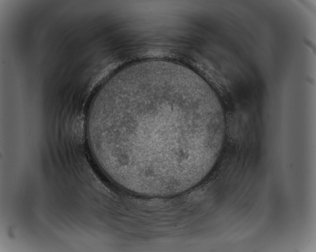 X0000097880016200803281233