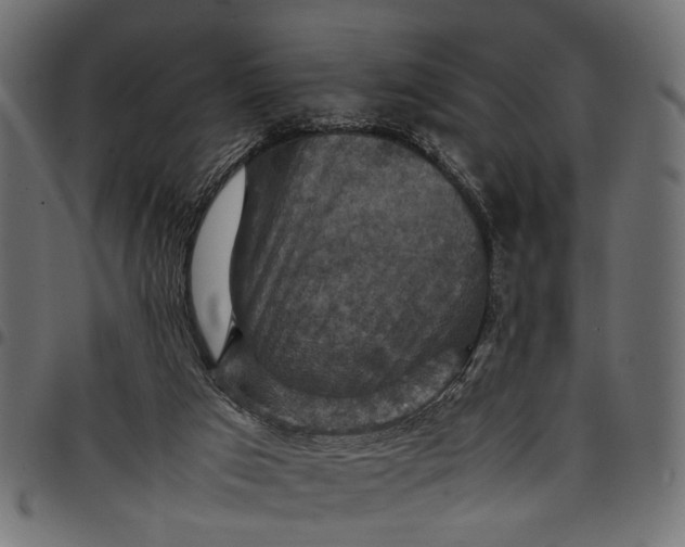 X0000097880017200803281233