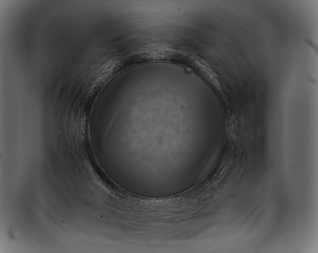 X0000097880018200803281233