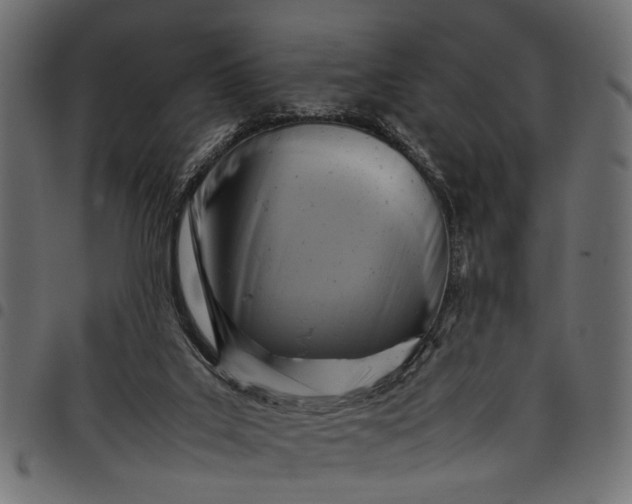 X0000097880019200803281233