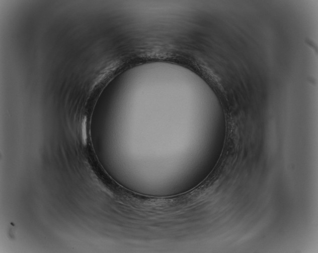 X0000097880020200803281233