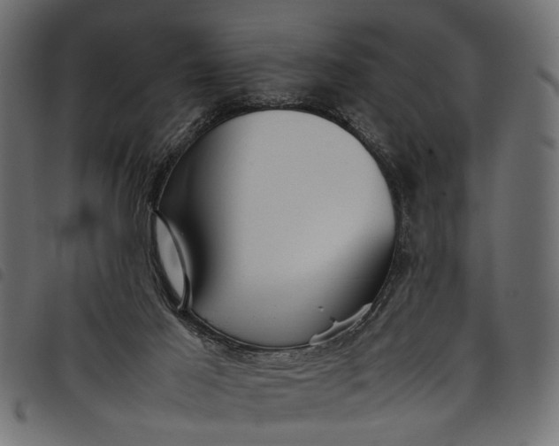 X0000097880021200803281233