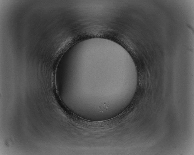 X0000097880023200803281233