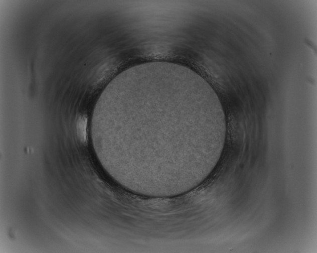 X0000097880024200803281233