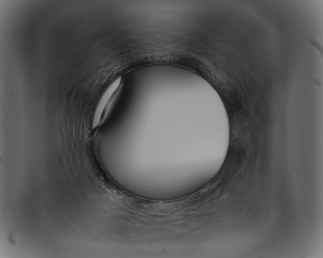 X0000097880025200803281233