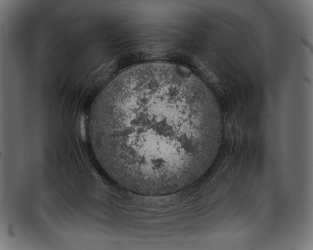 X0000097880026200803281233