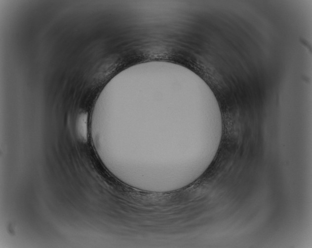 X0000097880028200803281233