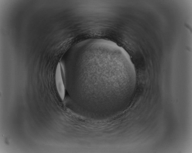 X0000097880029200803281233