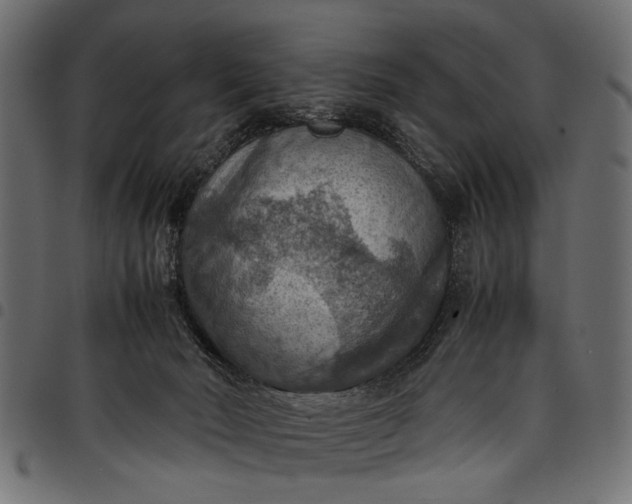 X0000097880030200803281233