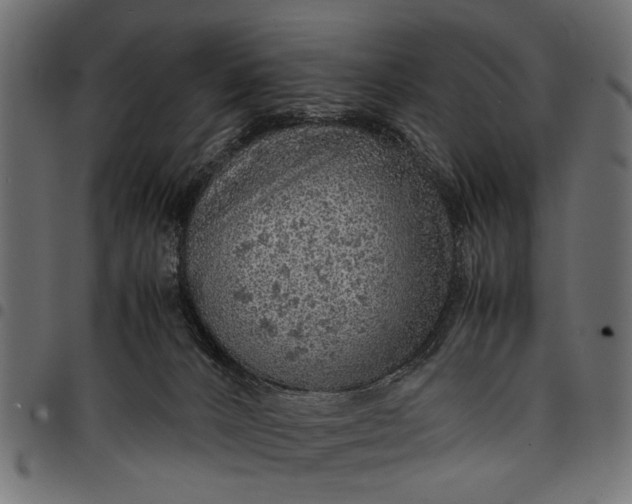 X0000097880032200803281233