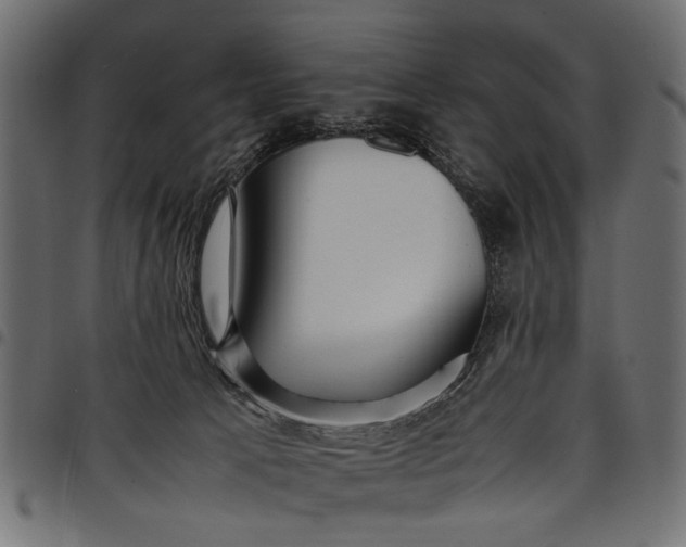 X0000097880033200803281233