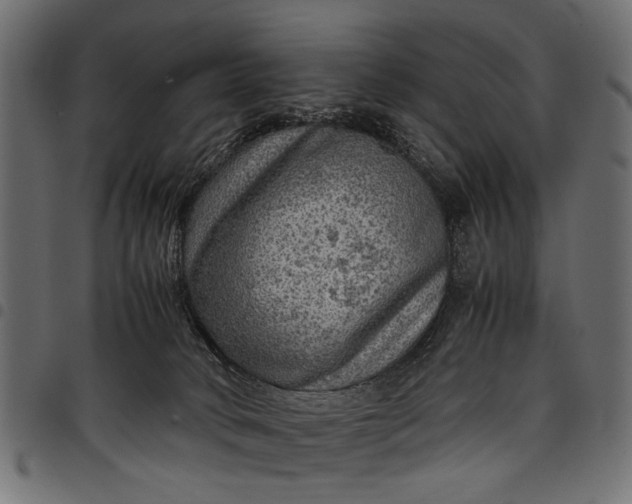 X0000097880034200803281233