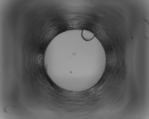 X0000097880036200803281233