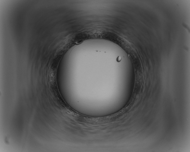 X0000097880037200803281233