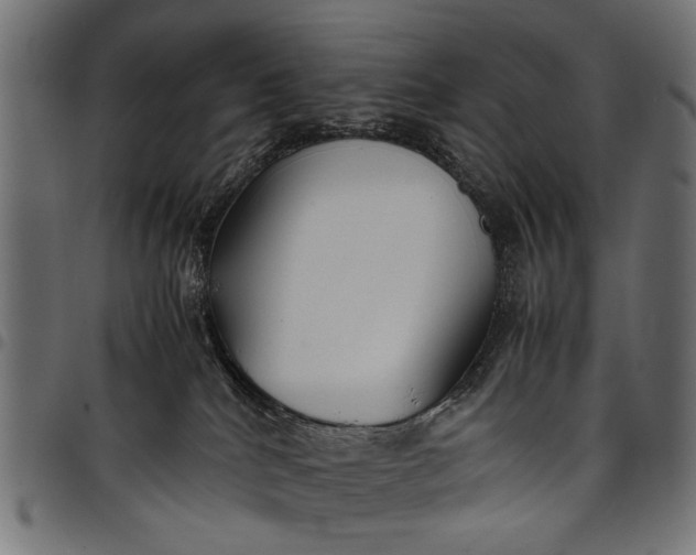 X0000097880040200803281233