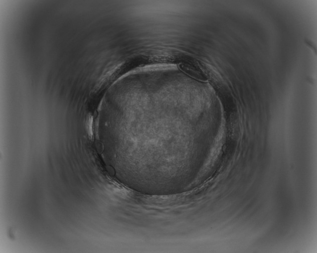 X0000097880041200803281233