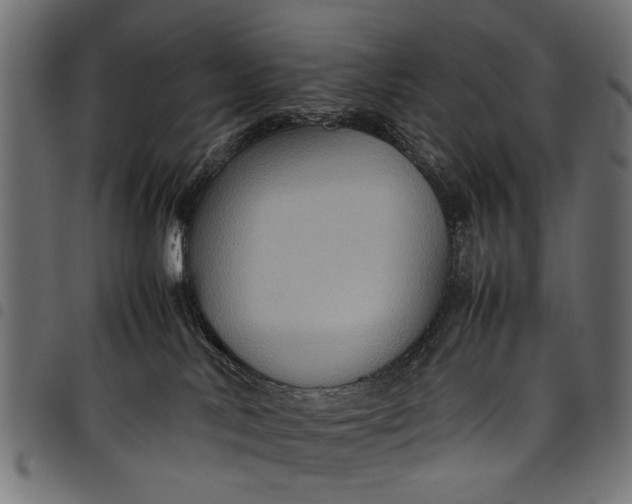 X0000097880042200803281233