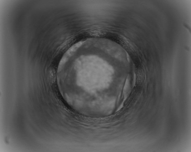 X0000097880043200803281233