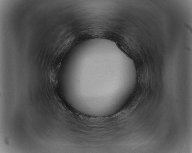 X0000097880044200803281233