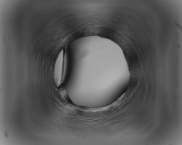 X0000097880045200803281233