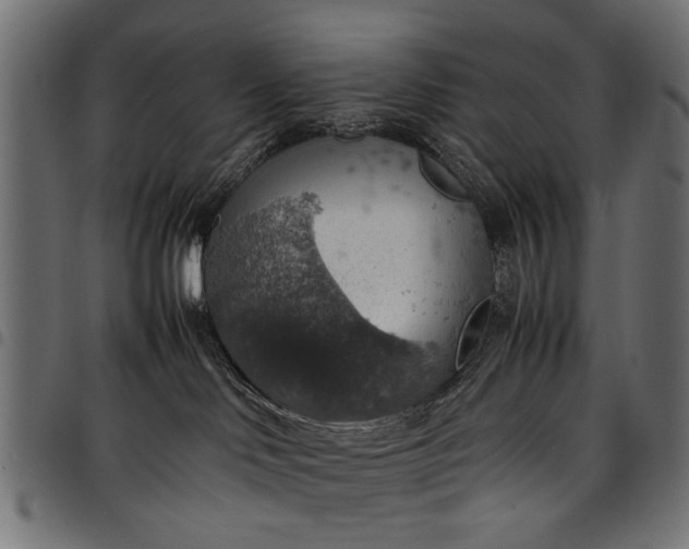 X0000097880046200803281233