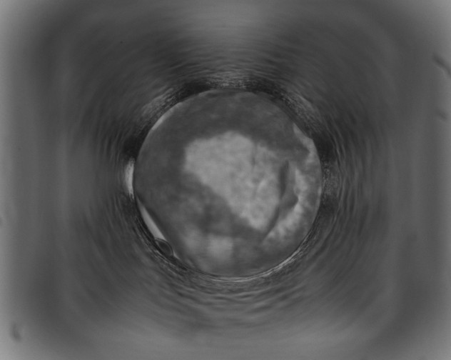 X0000097880047200803281233