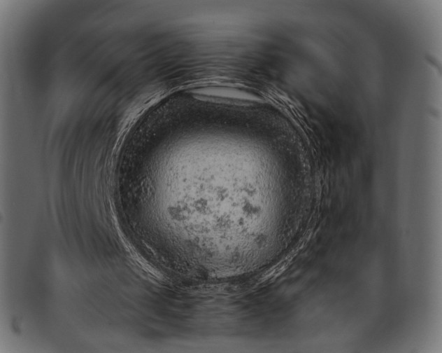 X0000097880049200803281232