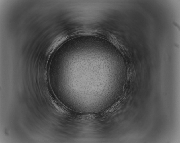 X0000097880050200803281232