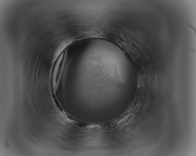 X0000097880052200803281232