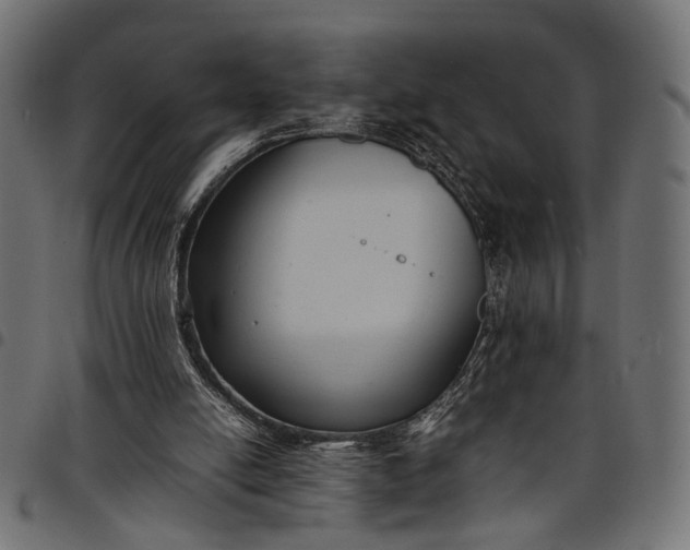 X0000097880054200803281232