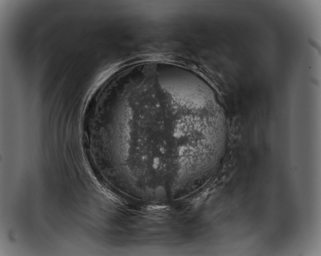 X0000097880055200803281232