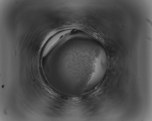 X0000097880056200803281232