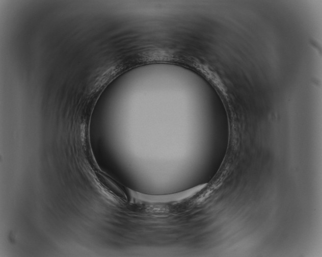 X0000097880057200803281232