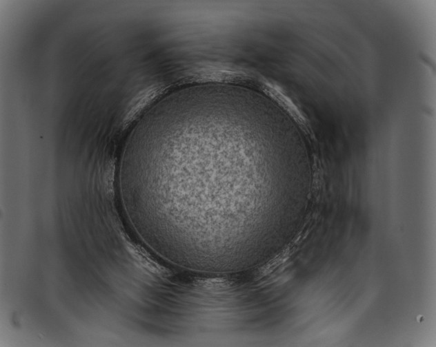 X0000097880058200803281232