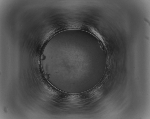 X0000097880059200803281232