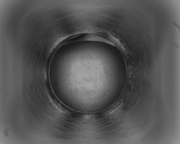 X0000097880060200803281232