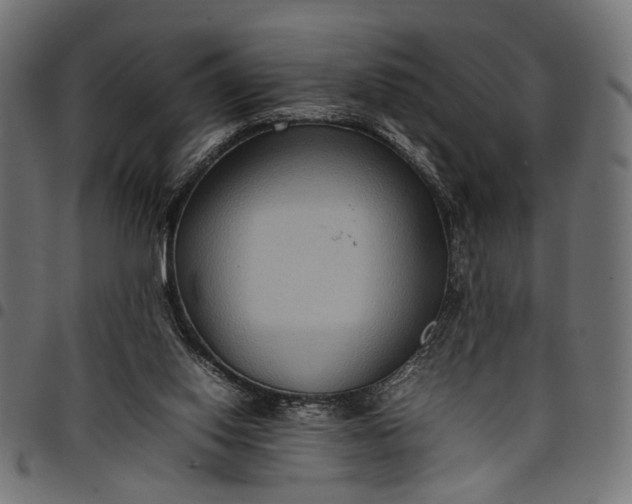 X0000097880062200803281232