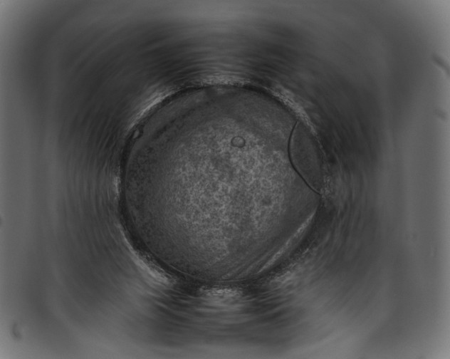 X0000097880063200803281232