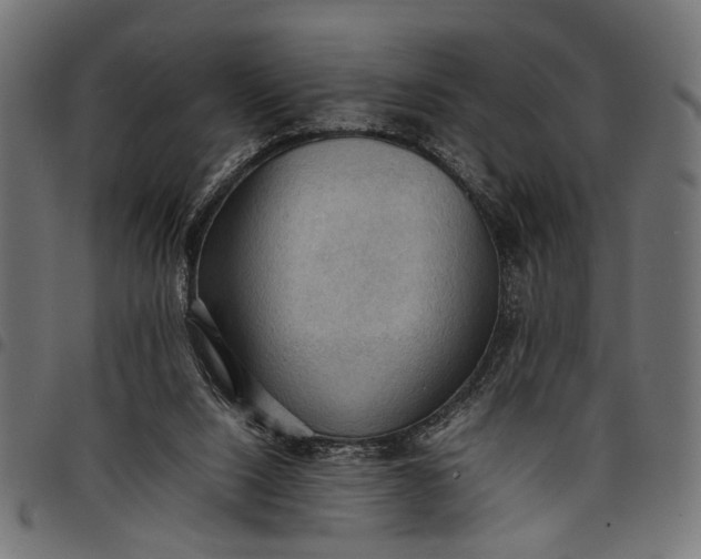 X0000097880064200803281232