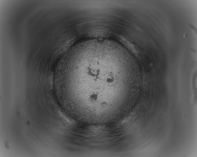 X0000097880065200803281232