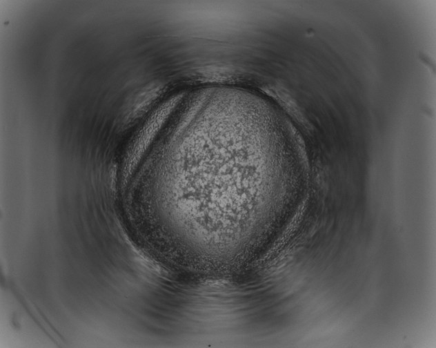 X0000097880066200803281232