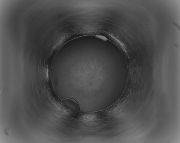 X0000097880067200803281232