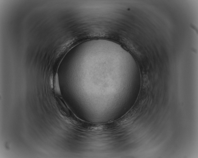 X0000097880068200803281232