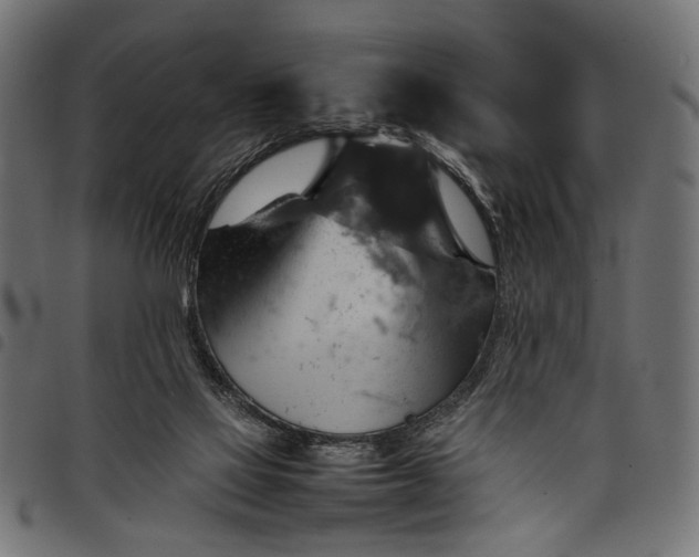 X0000097880069200803281232