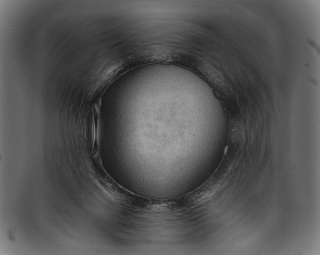 X0000097880072200803281232