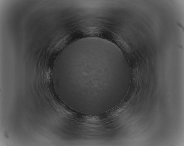 X0000097880073200803281232