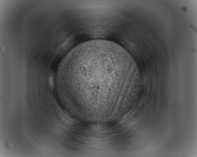 X0000097880074200803281233