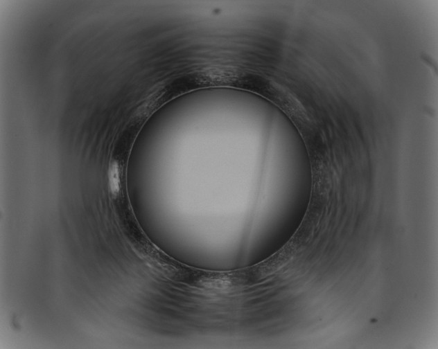 X0000097880075200803281233