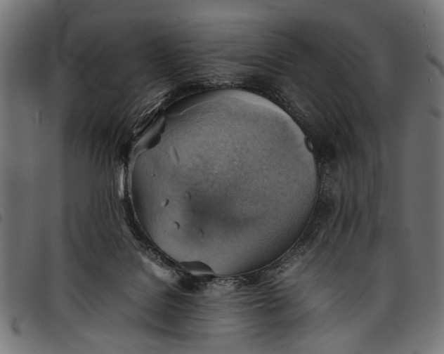 X0000097880076200803281233